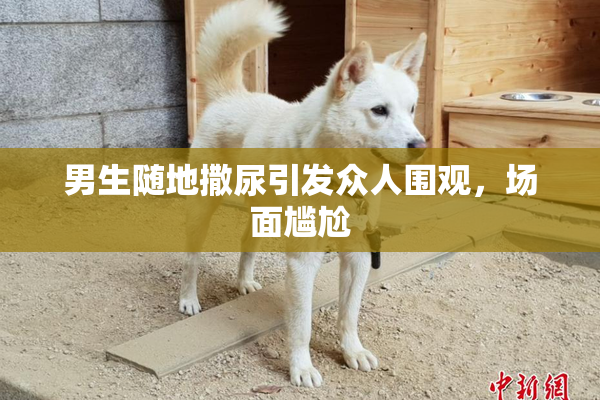 男生随地撒尿引发众人围观，场面尴尬