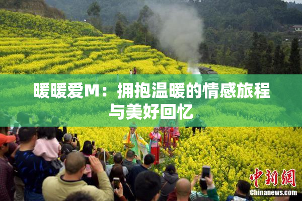 暖暖爱M：拥抱温暖的情感旅程与美好回忆