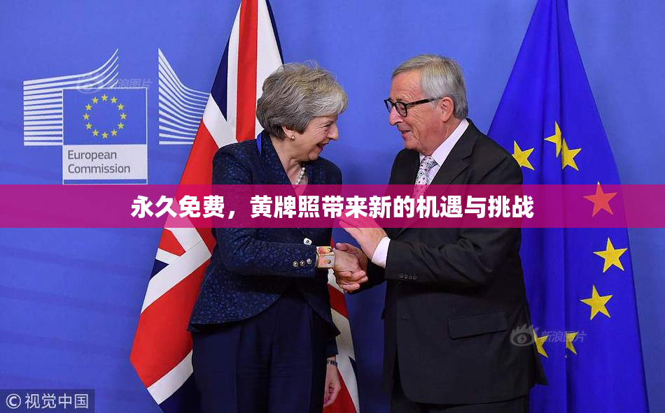 永久免费，黄牌照带来新的机遇与挑战