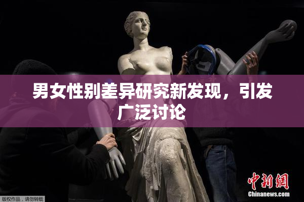 男女性别差异研究新发现，引发广泛讨论