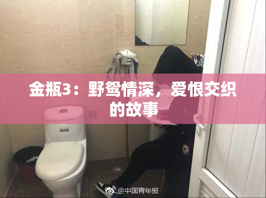 金瓶3：野鸳情深，爱恨交织的故事