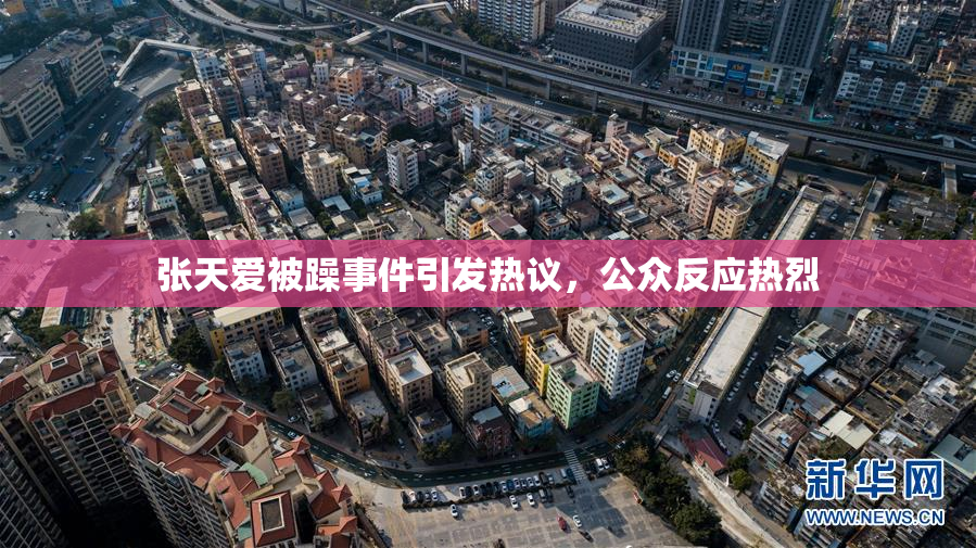 张天爱被躁事件引发热议，公众反应热烈