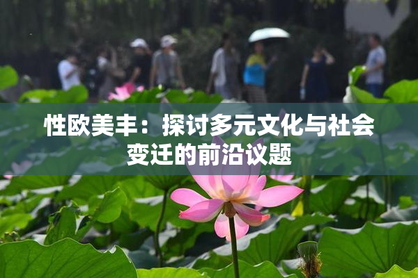 性欧美丰：探讨多元文化与社会变迁的前沿议题
