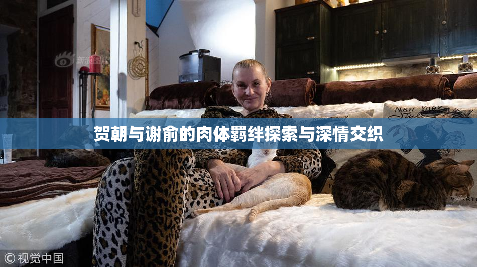 贺朝与谢俞的肉体羁绊探索与深情交织
