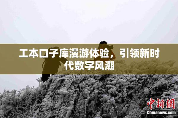 工本口子库漫游体验，引领新时代数字风潮