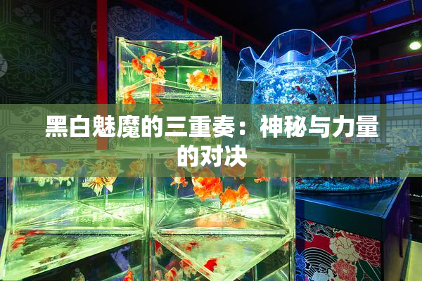 黑白魅魔的三重奏：神秘与力量的对决