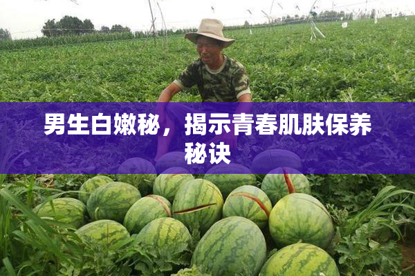 男生白嫩秘，揭示青春肌肤保养秘诀