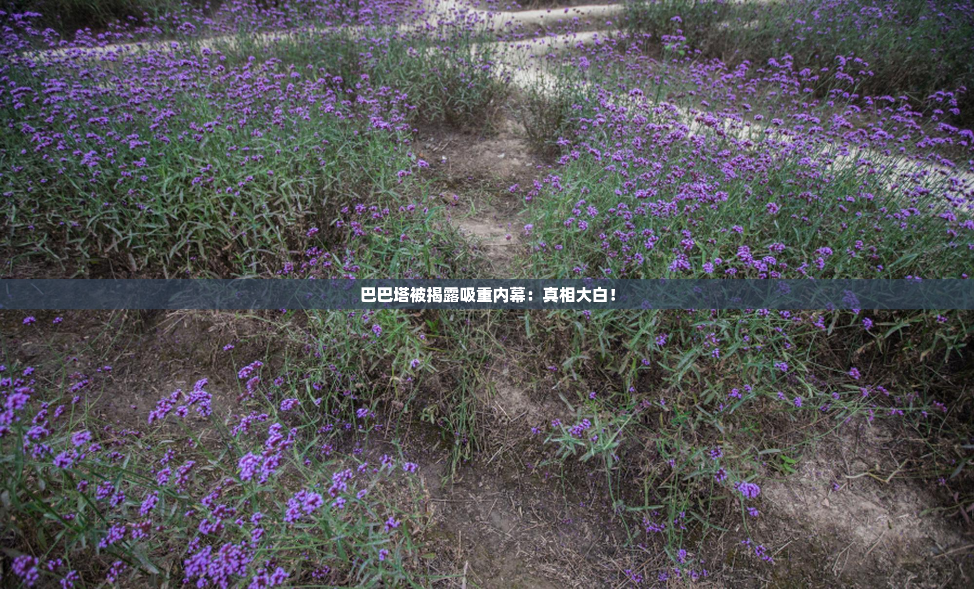 巴巴塔被揭露吸重内幕：真相大白！