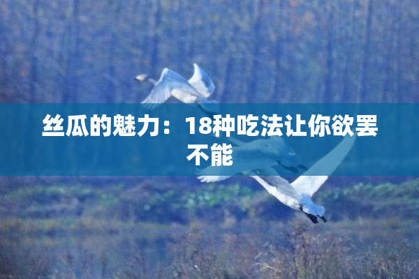 丝瓜的魅力：18种吃法让你欲罢不能