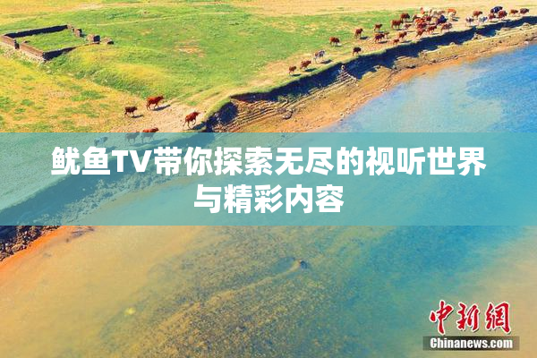 鱿鱼TV带你探索无尽的视听世界与精彩内容
