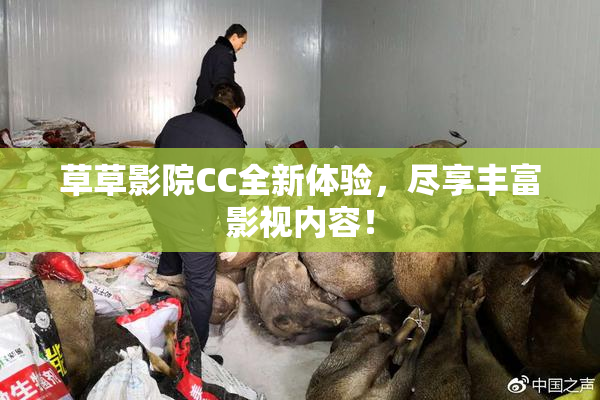 草草影院CC全新体验，尽享丰富影视内容！