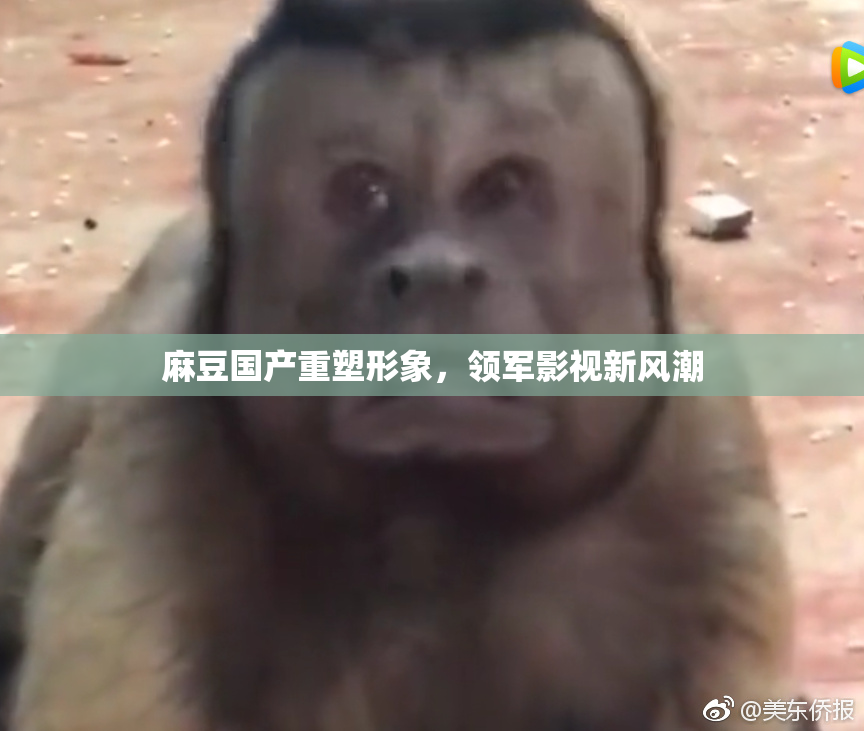 麻豆国产重塑形象，领军影视新风潮