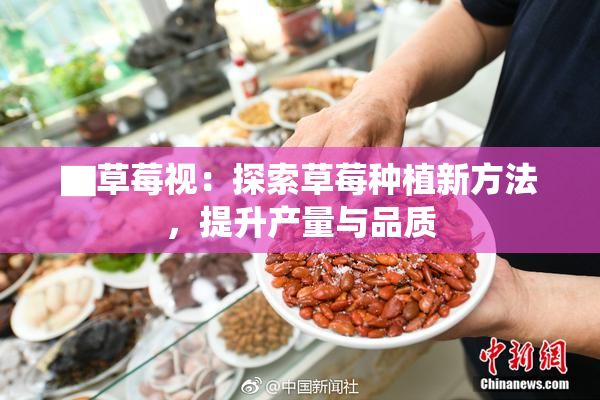 ▇草莓视：探索草莓种植新方法，提升产量与品质