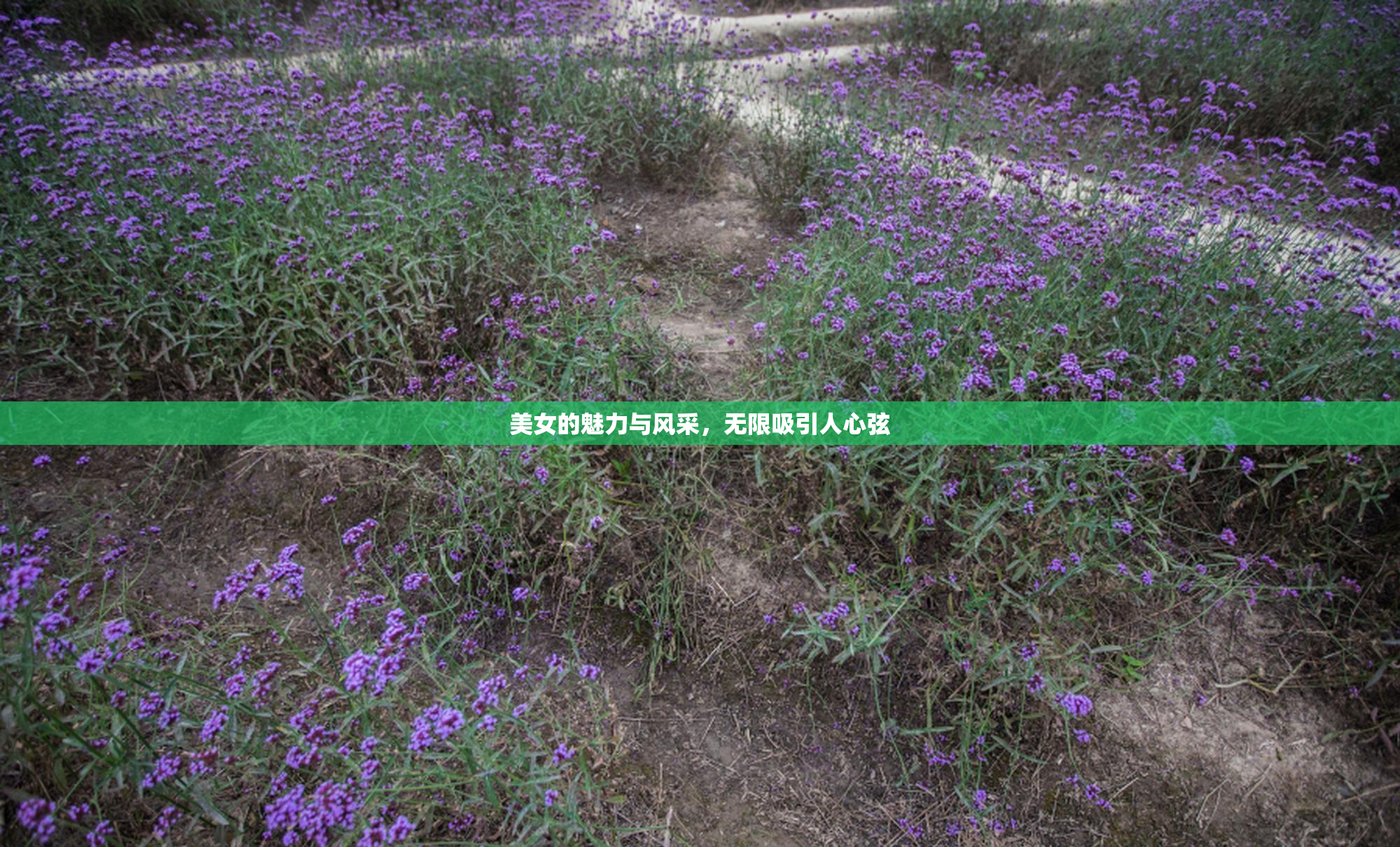 美女的魅力与风采，无限吸引人心弦
