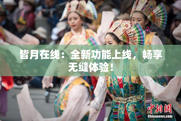 皆月在线：全新功能上线，畅享无缝体验！