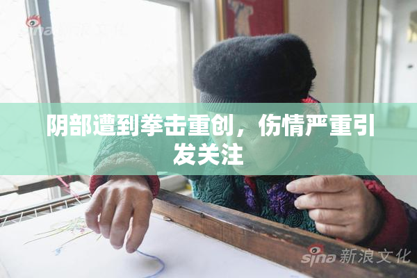 阴部遭到拳击重创，伤情严重引发关注