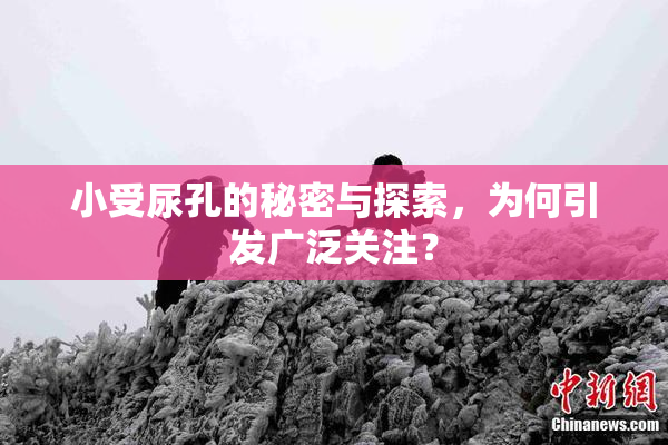 小受尿孔的秘密与探索，为何引发广泛关注？