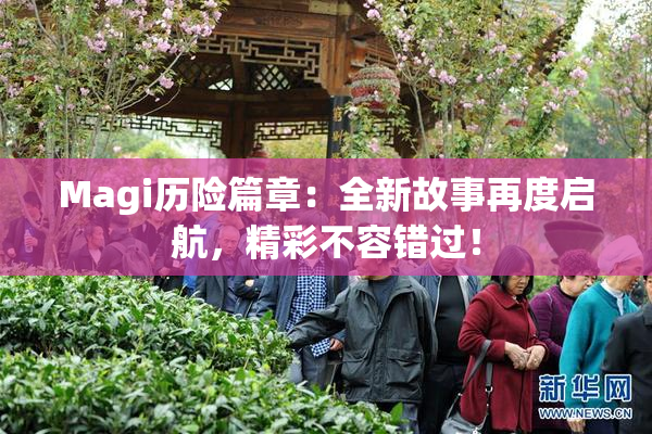 Magi历险篇章：全新故事再度启航，精彩不容错过！