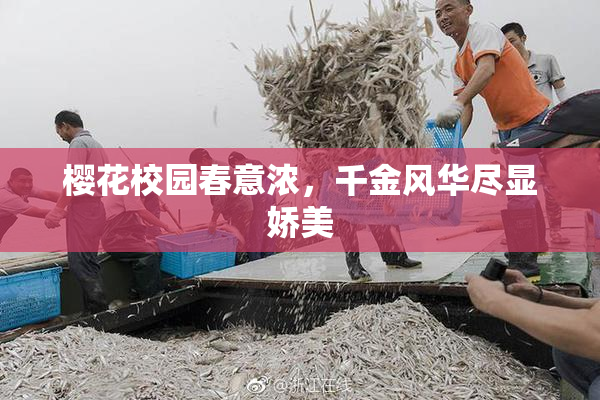 樱花校园春意浓，千金风华尽显娇美