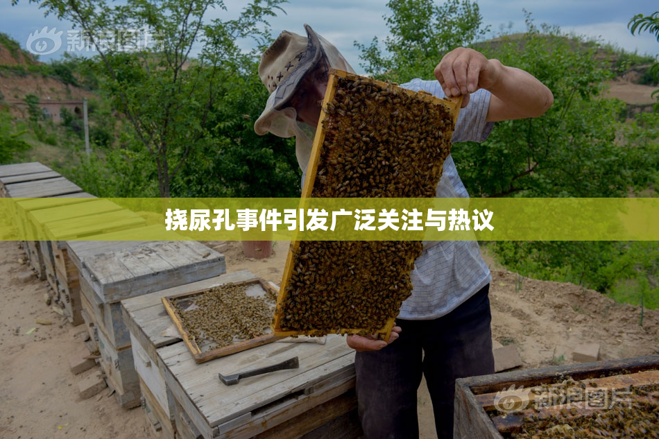 挠尿孔事件引发广泛关注与热议