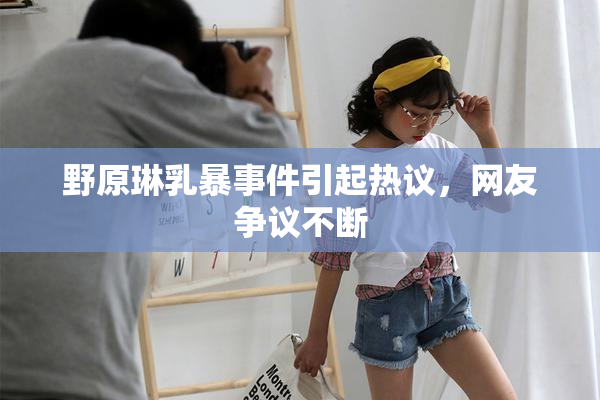 野原琳乳暴事件引起热议，网友争议不断