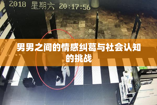 男男之间的情感纠葛与社会认知的挑战