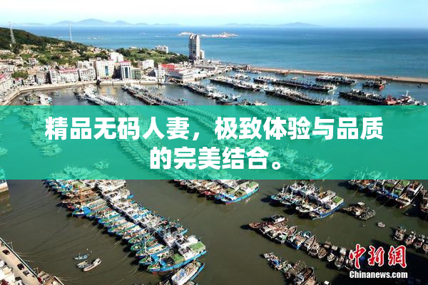精品无码人妻，极致体验与品质的完美结合。