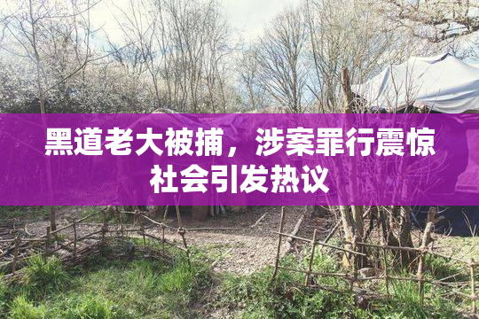 黑道老大被捕，涉案罪行震惊社会引发热议