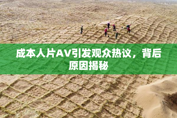 成本人片AV引发观众热议，背后原因揭秘