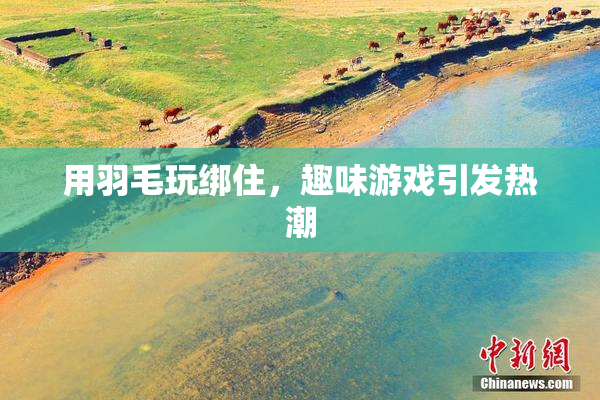 用羽毛玩绑住，趣味游戏引发热潮