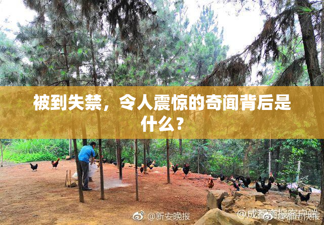 被到失禁，令人震惊的奇闻背后是什么？