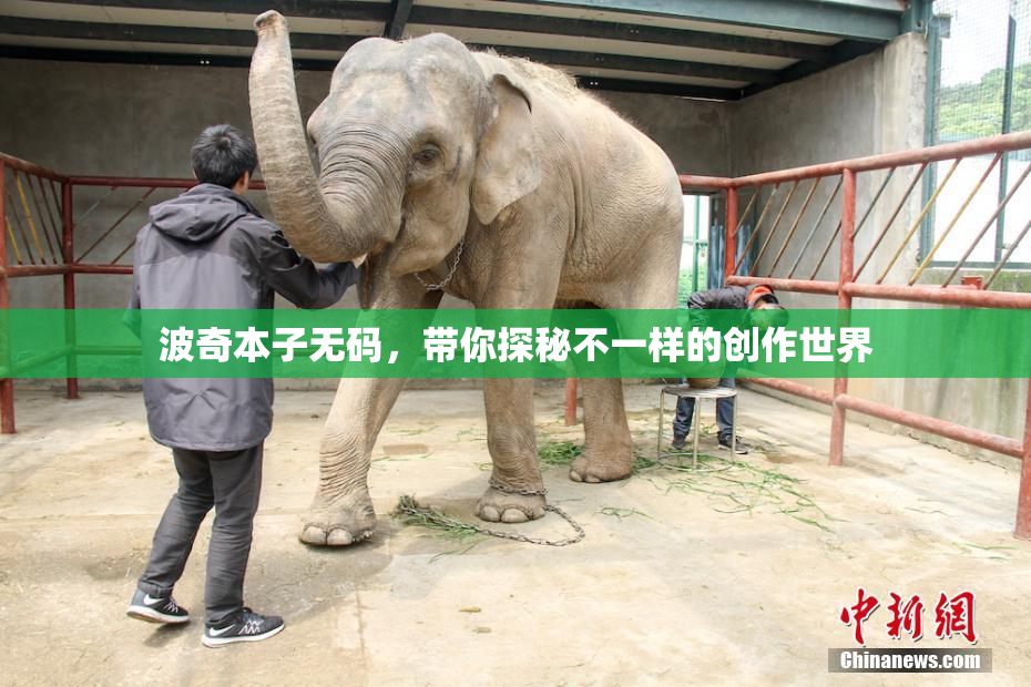 波奇本子无码，带你探秘不一样的创作世界