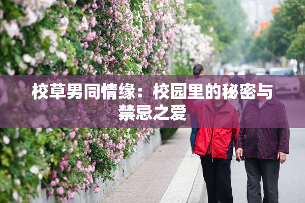 校草男同情缘：校园里的秘密与禁忌之爱