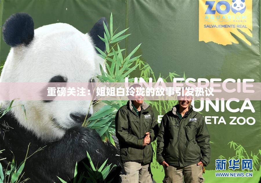 重磅关注：姐姐白玲珑的故事引发热议
