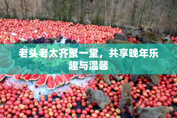 老头老太齐聚一堂，共享晚年乐趣与温馨