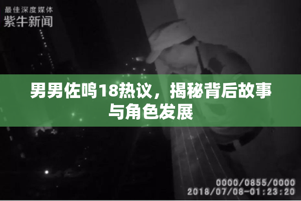 男男佐鸣18热议，揭秘背后故事与角色发展