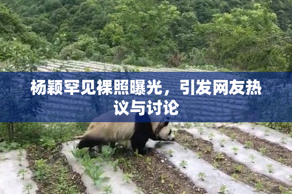 杨颖罕见裸照曝光，引发网友热议与讨论
