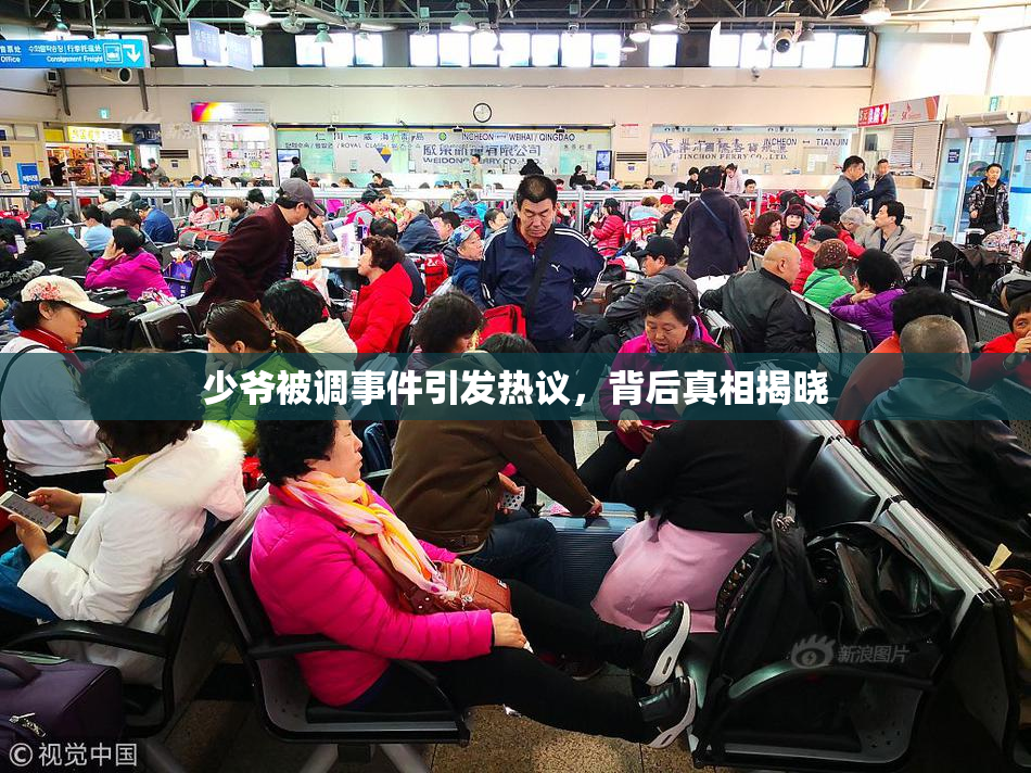 少爷被调事件引发热议，背后真相揭晓