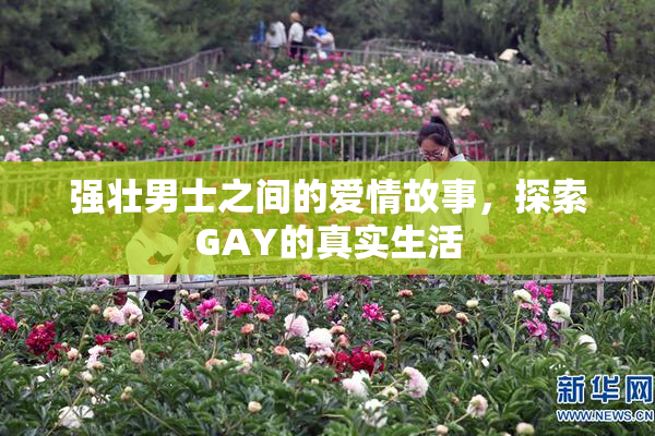 强壮男士之间的爱情故事，探索GAY的真实生活