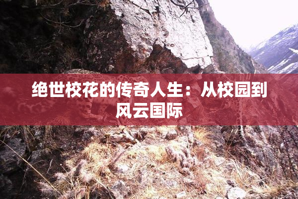 绝世校花的传奇人生：从校园到风云国际