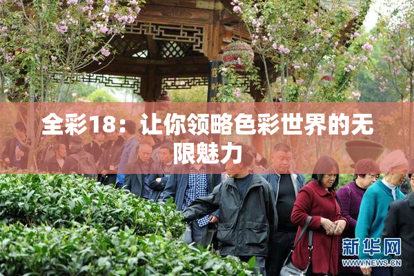 全彩18：让你领略色彩世界的无限魅力