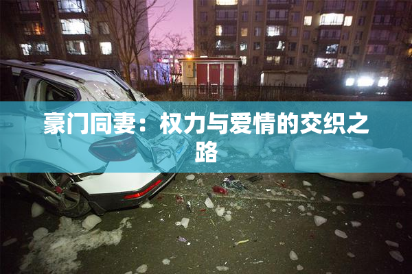 豪门同妻：权力与爱情的交织之路