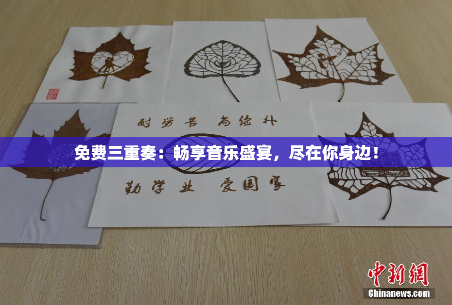 免费三重奏：畅享音乐盛宴，尽在你身边！