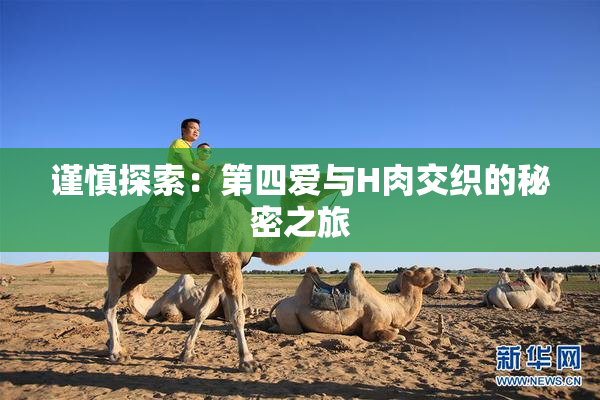 谨慎探索：第四爱与H肉交织的秘密之旅
