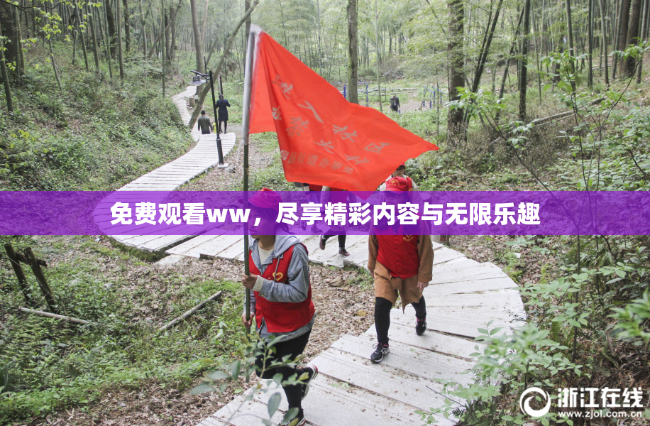 免费观看ww，尽享精彩内容与无限乐趣