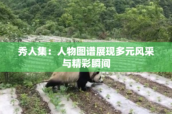 秀人集：人物图谱展现多元风采与精彩瞬间