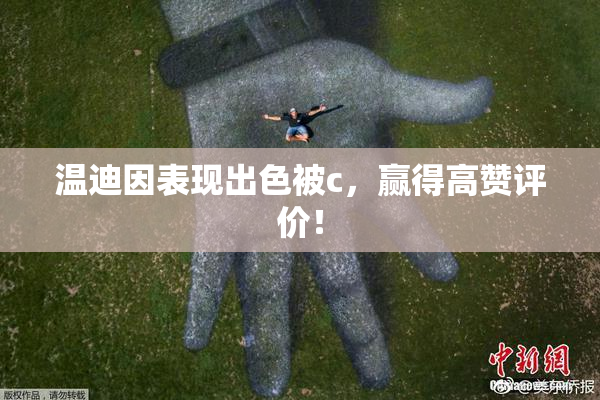 温迪因表现出色被c，赢得高赞评价！