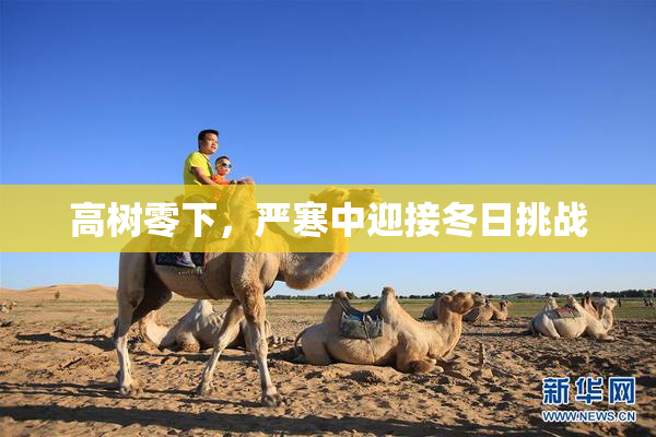 高树零下，严寒中迎接冬日挑战