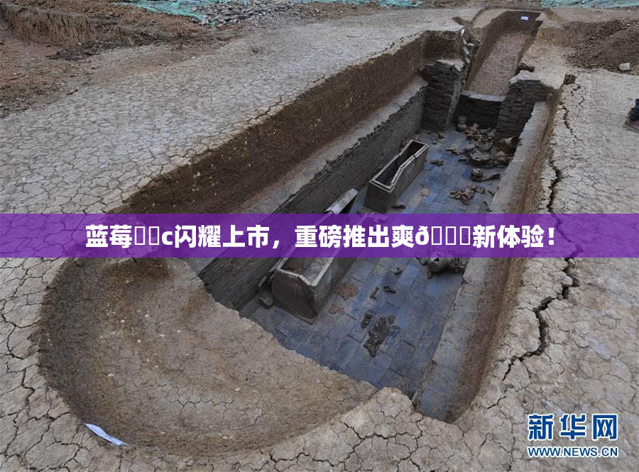 蓝莓❌‌c闪耀上市，重磅推出爽🔞新体验！
