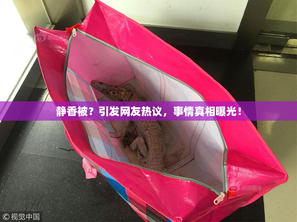 静香被？引发网友热议，事情真相曝光！